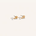 Pernille Corydon Ocean Nature Earsticks